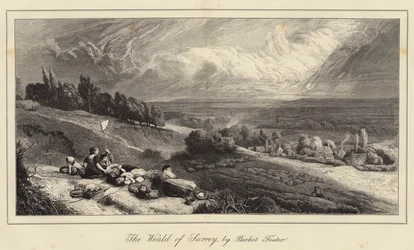 La Weald del Surrey